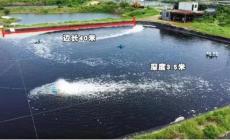 一亩地可以养多少鱼合适（一亩地可以养多少鱼）