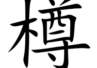 尊字五笔怎么打出来的（尊的五笔怎么打）