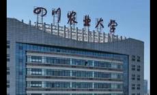 四川农业大学是985大学还是211大学