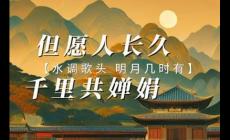 但愿人长久千里共婵娟的意思（诗句的具体含义）