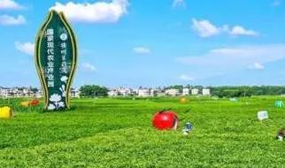 中国茉莉花之乡是什么地方 中国的茉莉花之乡在哪里啊