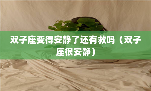 2双子座变得安静了还有救吗（双子座很安静）