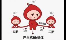 新生儿溶血症是什么意思 新生儿溶血症是什么意思啊