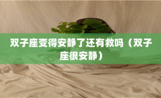 双子座安静吗？当双子座变得安静了还有救吗？