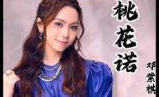 邓紫棋桃花诺歌词完整版 桃花诺歌词表达的意思介绍
