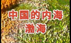 渤海是我国最大的内海对吗？