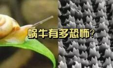 牙齿最多的动物是什么,牙齿最多的动物是什么动物