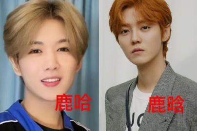 鹿哈真的月入500万吗？鹿哈凭啥走红？