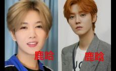 鹿哈真的月入500万吗？鹿哈凭啥走红？