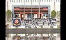 武汉学院是公办的还是民办的？