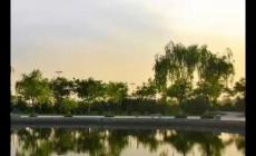 陕西省三本院校有哪些大学 陕西省三本院校名单2024