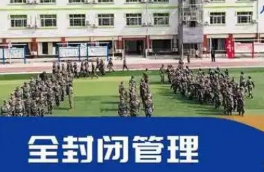 网络图片