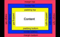 padding和margin的区别是什么？