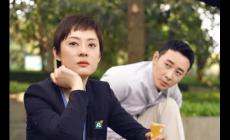安家分集剧情介绍之大结局是什么