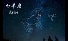 白羊座艺术家的独特魅力与创作激情
