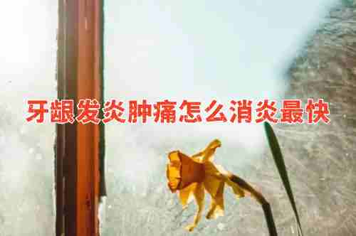 牙龈发炎肿痛怎么消炎最快