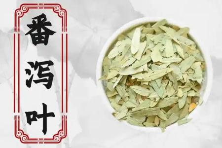 长期便秘喝番泻叶好吗 我已经喝番泻叶14年了