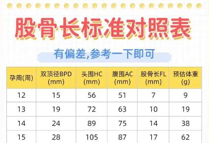 股骨长偏小一周是缺钙吗？