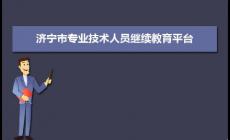 济宁市专业技术人员继续教育管理服务平台入口
