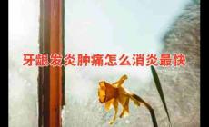 牙龈发炎肿痛怎么消炎最快？