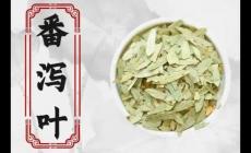 长期便秘喝番泻叶好吗 我已经喝番泻叶14年了