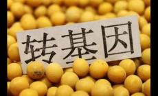 转基因对身体有害吗？三个转基因危害害处盘点