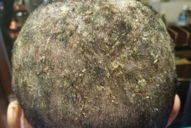 网络图片