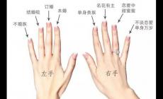 手指戴戒指的含义（图解）