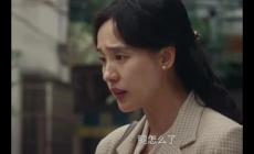 王宝强《棋士》电视剧中高淑华扮演者是谁