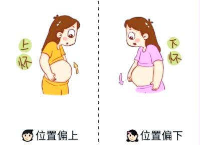 刚怀孕如何判断是儿是女（怀男孩月经在月头还是月尾呢）