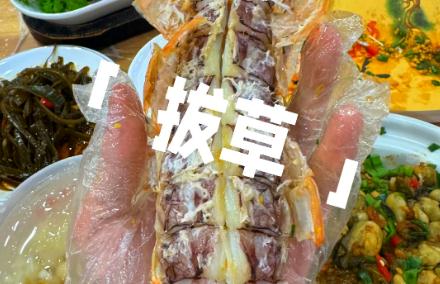网红拔草是什么意思 网红拔草是什么意思啊