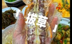 网红拔草是什么意思 网红拔草是什么意思啊