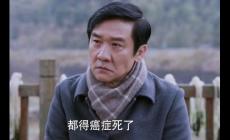 《江河日上》电视剧中郑寒江的结局是什么？