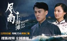 风雨上海滩电视剧30集在线观看（风雨上海滩剧情介绍大结局）