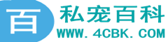 利息